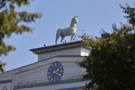In der Diskussion um die Zukunft des Landgestütes Redefin meldet sich jetzt der Mecklenburger Pferdezuchtverein zu Wort. | © Bischoff