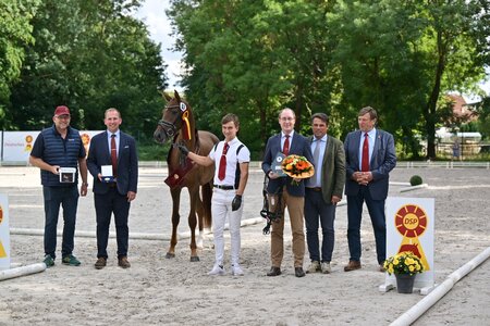 Bei den dressurbetonten DSP-Stuten überstrahlte Pandora II als Siegerin den Nachmittag.  | © Björn Schröder