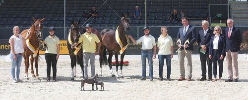 . In der prestigeträchtigen Familienkonkurrenz stand am Ende die Familie der Hann.Pr.St. Coco M v. Comte-Escudo II (Z. u. Ausst.: Peter Mahler, Neuhaus/Oste) ganz vorne und damit erstmals eine springbetont gezogene Familie.  | © Bischoff