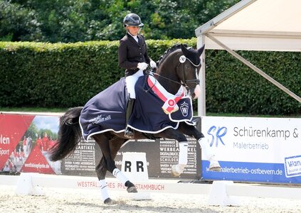 Sorgte im Championat der dreijährigen Reitpferdehengste für Aufsehen: Der Secret-Sohn Soxx mit Veronika Steinhoff.  | © Hartwig