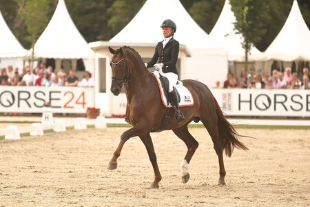 Red Viper heißt der Weltmeister der sechsjährigen Dressurpferde in Verden 2025 | © Bischoff