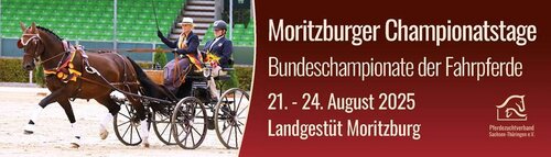 In wenigen Tagen treffen sich Deutschlands Fahrsportbegeisterte in Moritzburg, um die Bundeschampions im Fahren zu küren. | © Pferdezuchtverband Sachsen-Thüringen