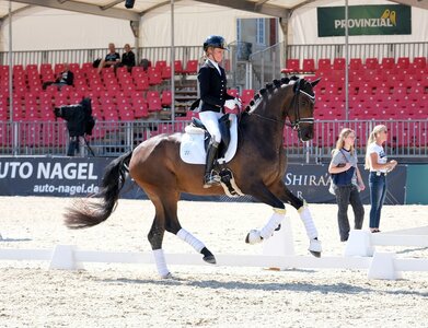 Mit Mareike Mimberg-Hess im Sattel setzte sich die Majestic Tonga-Tochter Majestica Mia JS im Westfalenwappen der dreijährigen Reitpferde durch.     | © Hartwig