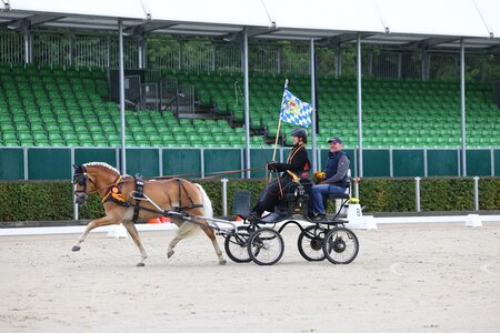 Wembley's Match B trabte mit Kathrin Karosser zum Titel, und die blauweiße Flagge durfte auch in diesem Jahr nicht fehlen.  | © Brit Placzek