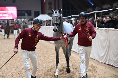 Die Termine für die Vorauswahl-Tour der DSP-Hengsttage stehen fest.  | © Hubert Fischer (frei)