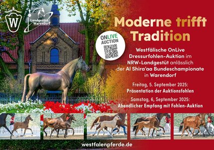 Moderne trifft Tradition – Premierenauktion des Westfälischen Pferdestammbuchs im NRW-Landgestüt | © westfalenpferde.de