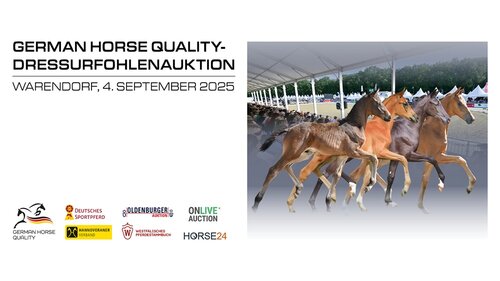 Unter dem Qualitätssiegel German Horse Quality erwartet die Besucher in der DSP-Arena am Abend eine handverlesene Auswahl von 20 Nachwuchsstars – je fünf Spitzenfohlen aus jedem Verband.  | © German Horse Quality 