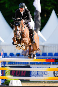 David Will und King George siegen in der ersten Qualifikation der siebenjährigen Springpferde. | © Christian Beeck David Will und King George siegen in der ersten Qualifikation der siebenjährigen Springpferde. | © Christian Beeck