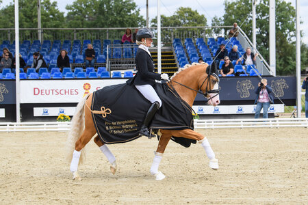 Dancia Duen und Next Temptation siegen in der ersten Qualifikation bei den dreijährigen Reitpony Hengsten. | © Equitaris Dancia Duen und Next Temptation siegen in der ersten Qualifikation bei den dreijährigen Reitpony Hengsten. | © Equitaris