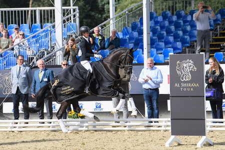 Weihe's Happiness OLD galoppierte zum Sieg bei den vierjährigen Stuten und Wallachen. | © Equitaris Weihe's Happiness OLD galoppierte zum Sieg bei den vierjährigen Stuten und Wallachen. | © Equitaris