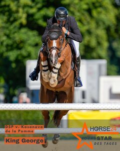 King George - stimmen Sie mit ab, wenn Sie wollen, dass er der HORSE24 YoungSTAR wird! | © Beeck King George - stimmen Sie mit ab, wenn Sie wollen, dass er der HORSE24 YoungSTAR wird! | © Beeck