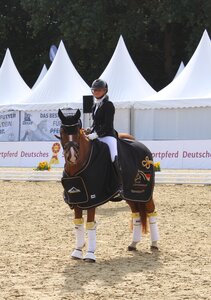 Next Dancer C und Michele Schulmerig waren die strahlenden Sieger bei den dreijährigen Stuten und Wallachen der Reitponys. | © Hörster Next Dancer C und Michele Schulmerig waren die strahlenden Sieger bei den dreijährigen Stuten und Wallachen der Reitponys. | © Hörster