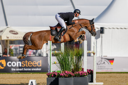 King George und David Will sicherten sich bei den Siebenjährigen auch in der zweiten Qualifikation den Sieg. | © Christian Beeck King George und David Will sicherten sich bei den Siebenjährigen auch in der zweiten Qualifikation den Sieg. | © Christian Beeck