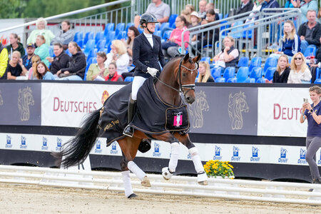 Christine Ulmker und Be my Sunshine brillierten bei den Bundeschampionaten bei den dreijährigen Stuten und Wallachen. | © Christian Beeck Christine Ulmker und Be my Sunshine brillierten bei den Bundeschampionaten bei den dreijährigen Stuten und Wallachen. | © Christian Beeck