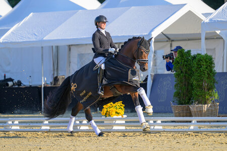Grenzhoehes Negretto und Linda Boller galoppierten zum Sieg der Finalqualifikation bei den vierjährigen Reitponyhengsten. | © Equitaris Grenzhoehes Negretto und Linda Boller galoppierten zum Sieg der Finalqualifikation bei den vierjährigen Reitponyhengsten. | © Equitaris