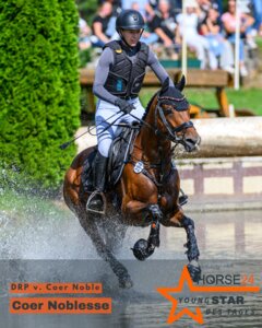 Coer Noblesse - stimmen Sie mit ab, wenn Sie wollen, dass sie der HORSE24 YoungSTAR wird! | © Equitaris Coer Noblesse - stimmen Sie mit ab, wenn Sie wollen, dass sie der HORSE24 YoungSTAR wird! | © Equitaris