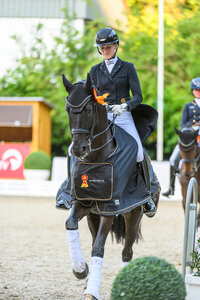 Stromberg galoppierte unter dem Sattel von Carina Scholz bei den siebenjährigen Dressurpferden in Warendorf zum Sieg. | © Equitaris Stromberg galoppierte unter dem Sattel von Carina Scholz bei den siebenjährigen Dressurpferden in Warendorf zum Sieg. | © Equitaris