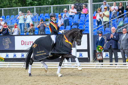 Weihe's Happiness OLD wurde unter Alina Schneider neue Bundeschampion der vierjährigen Reitpferdestuten und -wallache. | © Equitaris Weihe's Happiness OLD wurde unter Alina Schneider neue Bundeschampion der vierjährigen Reitpferdestuten und -wallache. | © Equitaris
