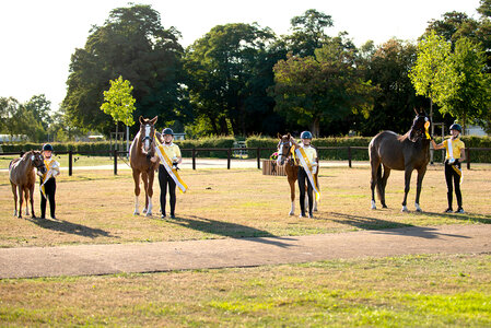 Die Sieger des Jungzüchter-Finales (v.l.n.r.): Fenja Meyer, Pia Neumann, Marlene Glebinski und Amelie von Hardenberg. | © Hannoveraner Verband