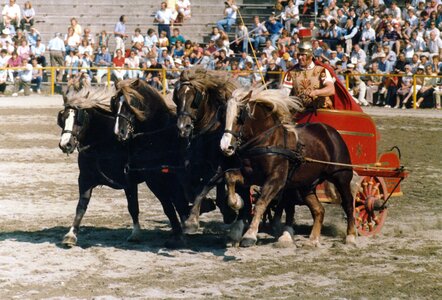 Marbacher Hengstparaden 1984 – Römischer Kampfwagen mit vier Schwarzwälder Kaltbluthengsten. | © Mutschler