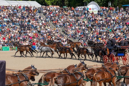 Fahrkunst vom Feinsten: Sechs Zehnspänner verschiedener Pferderassen in der Hengstparadearena  | © Stephan Kube
