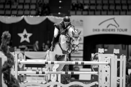 Chacoon Blue war mit Philip Rüping in internationalen Weltranglisten-Springen erfolgreich.  | © Lafrentz