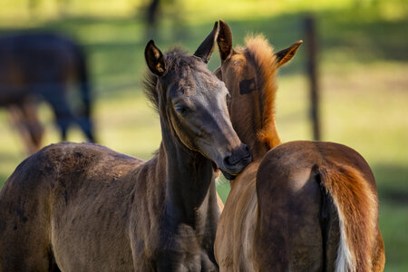 Symbolbild. | © Lafrentz