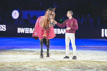 Chappeloup ist der diesjährige DSP-Masters-Hengst. | © TomsPic