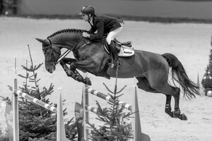 A la Carte NRW unter Marcus Ehning. | © Lafrentz 