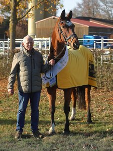 Hannoveraner Stute des Jahres ist Dorina. | © Bischoff