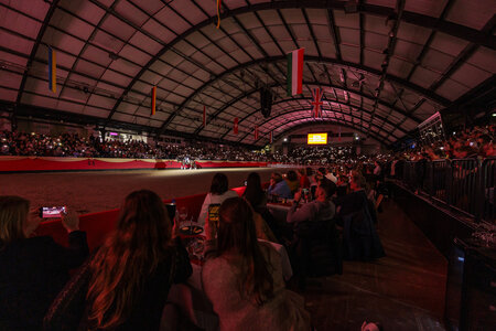 Jetzt geht’s los! Neumünster feiert die Trakehner. | © Lafrentz (frei)