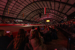 Jetzt geht’s los! Neumünster feiert die Trakehner. | © Lafrentz (frei)