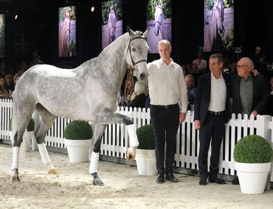 Spitzenpreispferd Dior scheint seinem neuen Besitzer Ulli Horch (r.) genauso zu gratulieren wie auch Holger Hetzel (M.). | © Thomas Hartwig