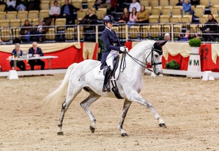 Silverstone unter Lydia Camp-Riebau. | © Lafrentz