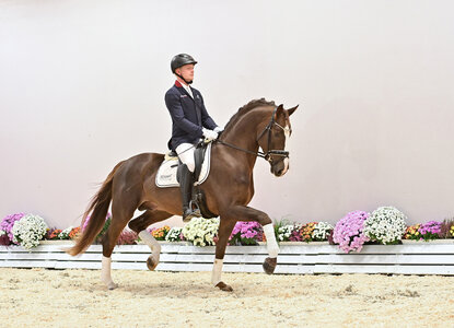 Kat. Nr. 5 Schufro de Iniesta v. Sezuan's Donnerhall. | © OLD Art (frei)