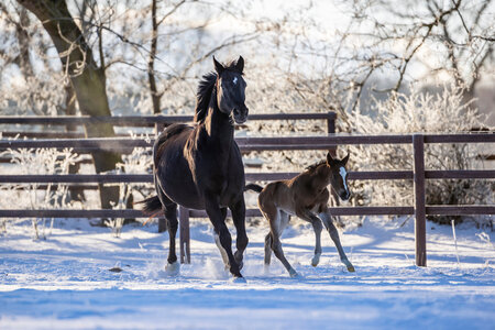Symbolfoto. | © Lafrentz