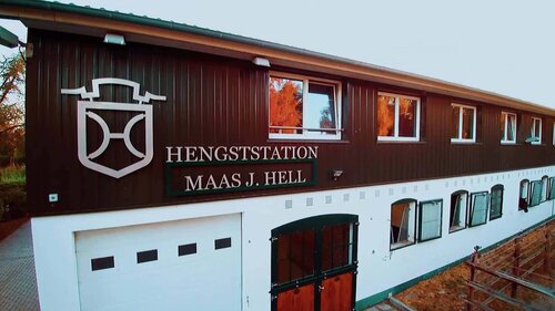 Die Hengststation Maas J. Hell in Klein Offenseth ist am 6. Dezember Schauplatz eines Freispring-Wettbewerbs und einer Podiumsdiskussion.  | © D. Danczyk (frei)