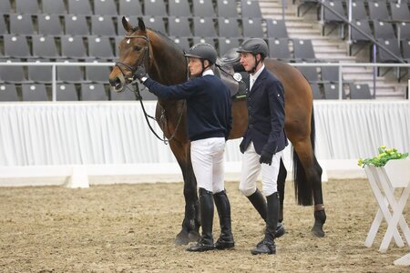 Veranlagungsprüfungen in Verden | © Bischoff