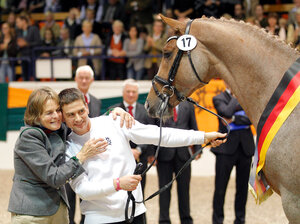 Ein Juwel der 5. Trakehner TG Online Auktion: Donauruf war strahlender Siegerhengst der Jubiläumskörung 2012 und das Meisterstück seiner unvergessenen Züchterin Veronika von Schöning. | © Lafrentz (frei)