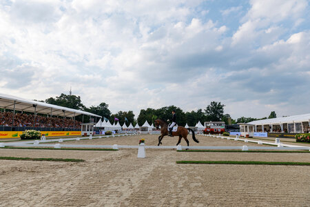 Im vergangenen Jahr lockte die WM zahlreiche Zuschauer nach Verden  | © Lafrentz (frei)