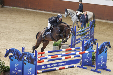 Explosion v. Eldorado v/d Zeshoek-Contender präsentierte sich unter seinem Züchter Rasmus Lüneburg. | © RathmannVerlag/Stefan Stuhr (frei)