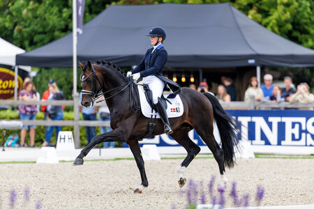 Blue Hors Santiano unter Nanna Skodborg Merrald. | © Lafrentz