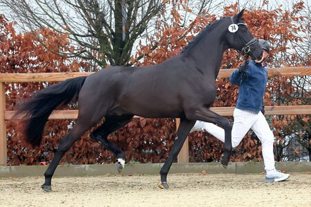 Still a Secret v. Secret | © Bischoff