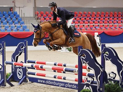 Kat. Nr. 42: Springpony Million Dayguiva v. Million Reasons.  | © OLD Art (frei)