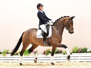 Bonaparte v. Bon Vivaldi-Harvard-Lungau | © OLD Art