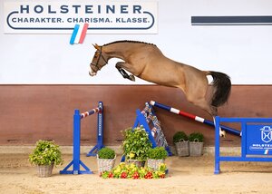 Evoila v. Esmeraldo-Casall  | © Janne Bugtrup (frei)