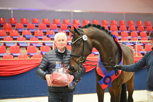 Siegerhengst Besandro Gold v. Best of Gold mit seinem Züchter Heinz Ahlers | © Beelitz (frei)