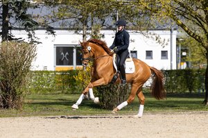 Sony v. Secret-Quaterback  | © Hannoveraner Verband (frei) 