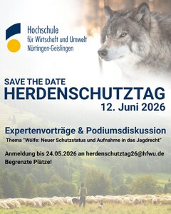 In Nürtingen findet erneut ein Herdenschutztag statt. | © HfWU Nürtingen