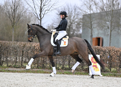 Dango Rubin v. Danone I – Goldberg  | © Hubert Fischer